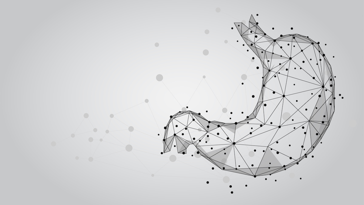 How Digestive Enzymes Can Help Protein Absorption - Form - US