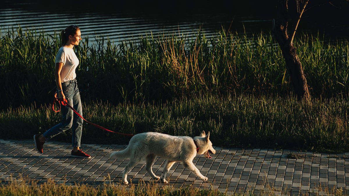 inForm-A-Neuroscientist-Explains-What-Your-Smartphone-is-Doing-to-Your-Brain-copy-image-2