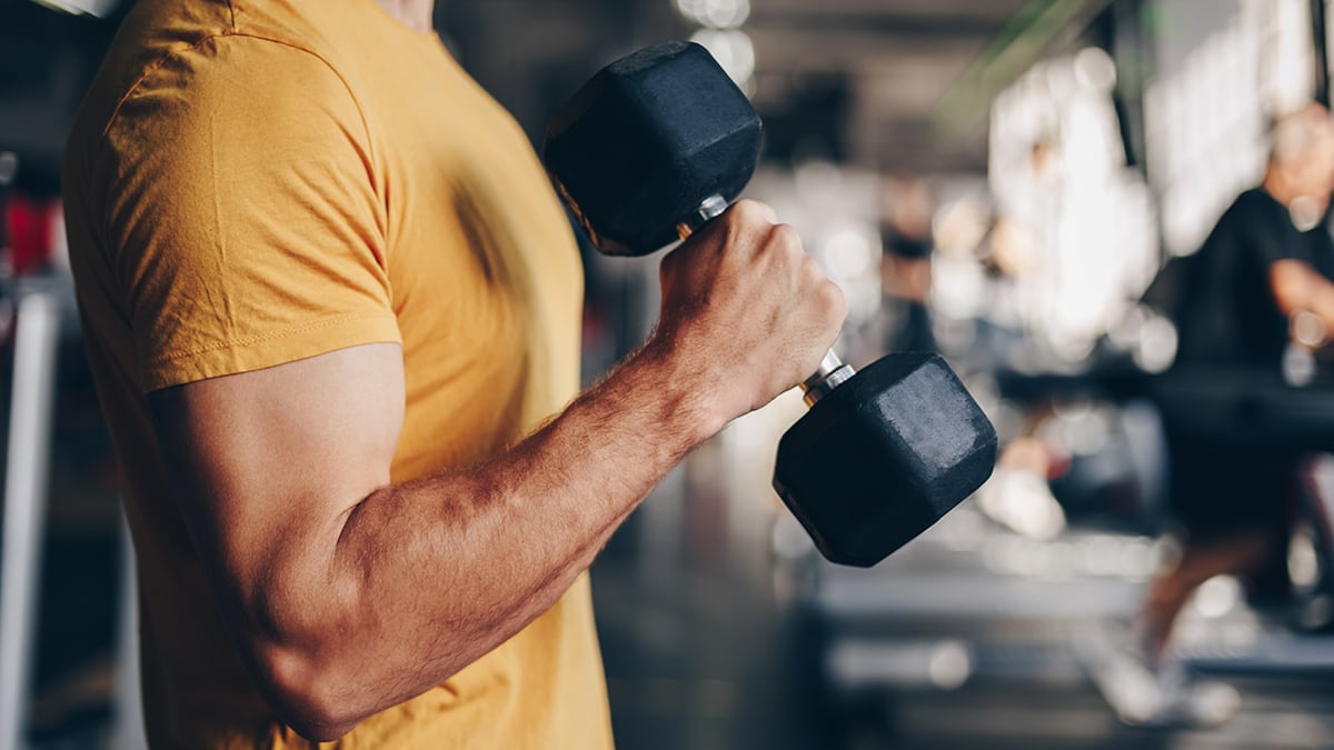 infrom-Full-Body-Workouts-vs-Split-Routines--Whats-Better-for-Building-Muscle--copy-image-2