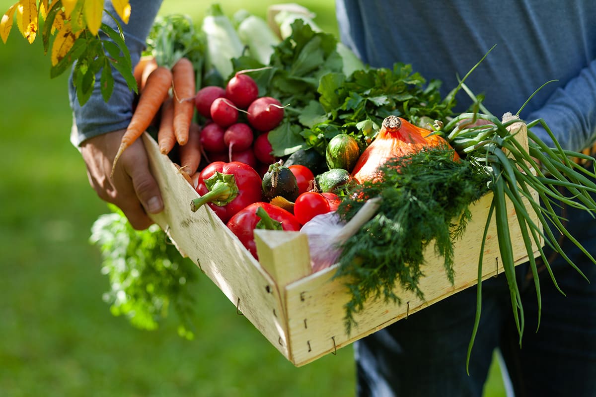 inForm-Ask-Dr-Adam--Are-There-Specific-Foods-or-Nutrients-That-Can-Reduce-Inflammation--header-image