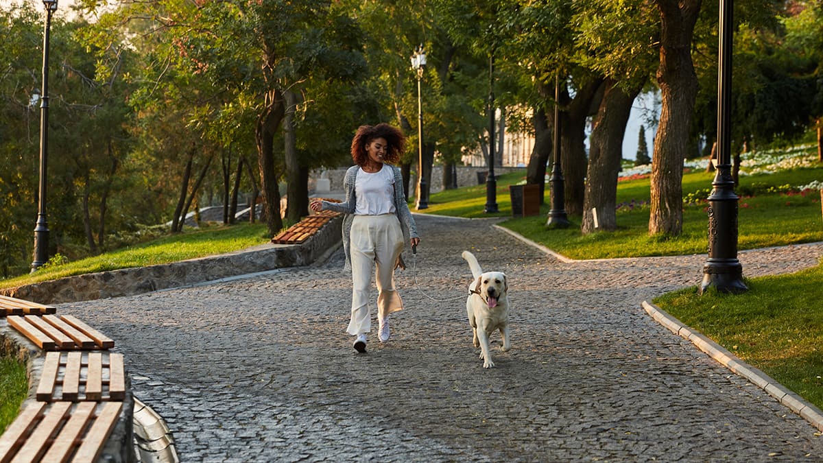 inform-The-Pillars-of-Sleep--What-Determines-the-Quality-of-Your-Recovery-copy-image-1