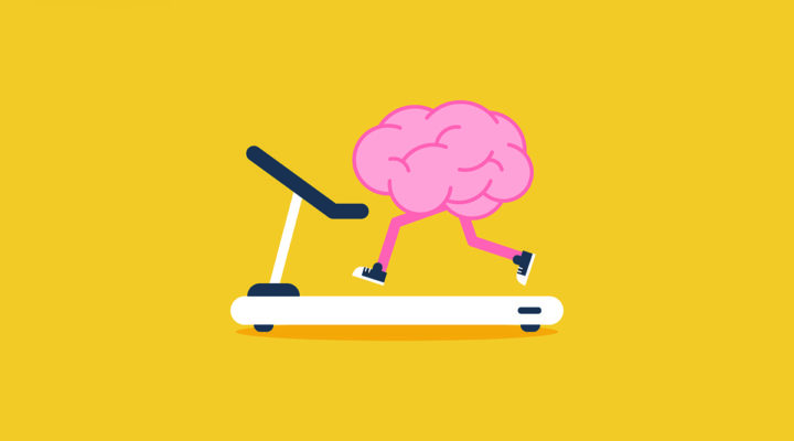 how exercise affects grey matter