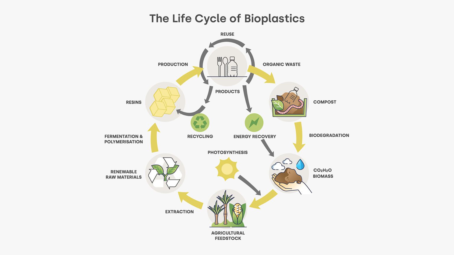 How Our Compostable Packaging is Made | Form Nutrition