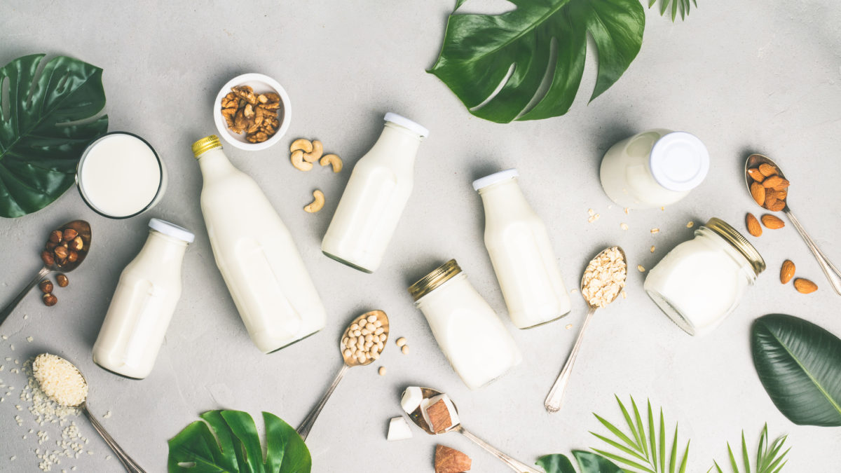 plant-based and non dairy milks