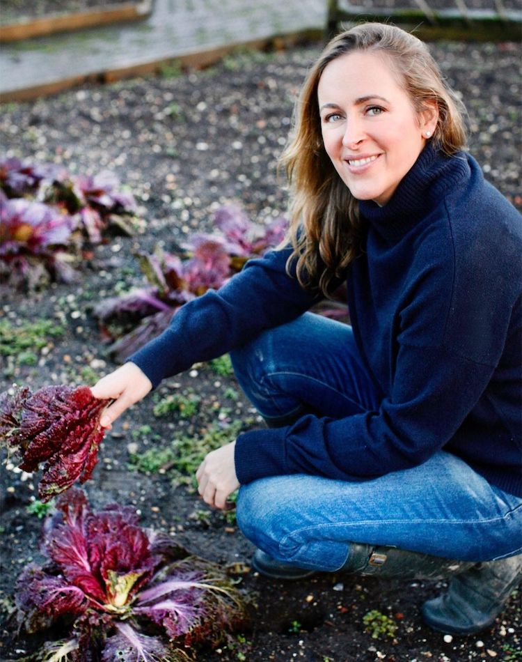 'We Need Good Food To Thrive': Amelia Freer on Vegan Meals and Living ...