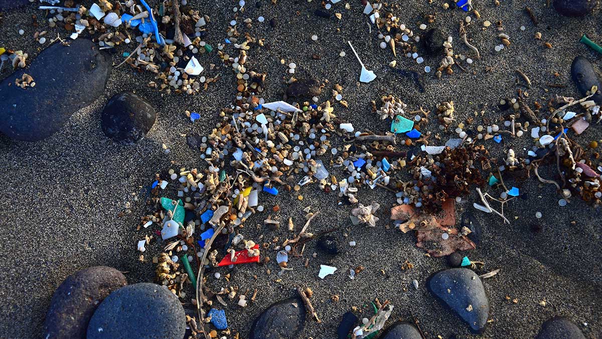 How Concerned Should I Be About Microplastics? - Form