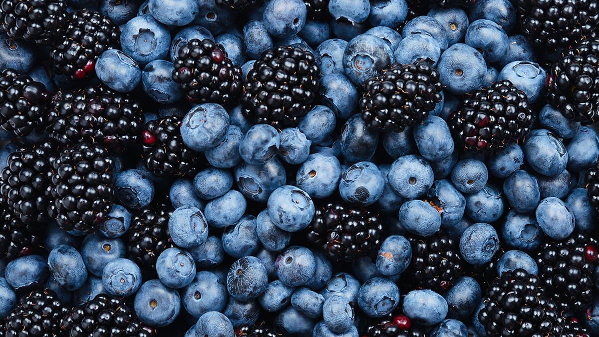 inForm-nootropics-dark-berries