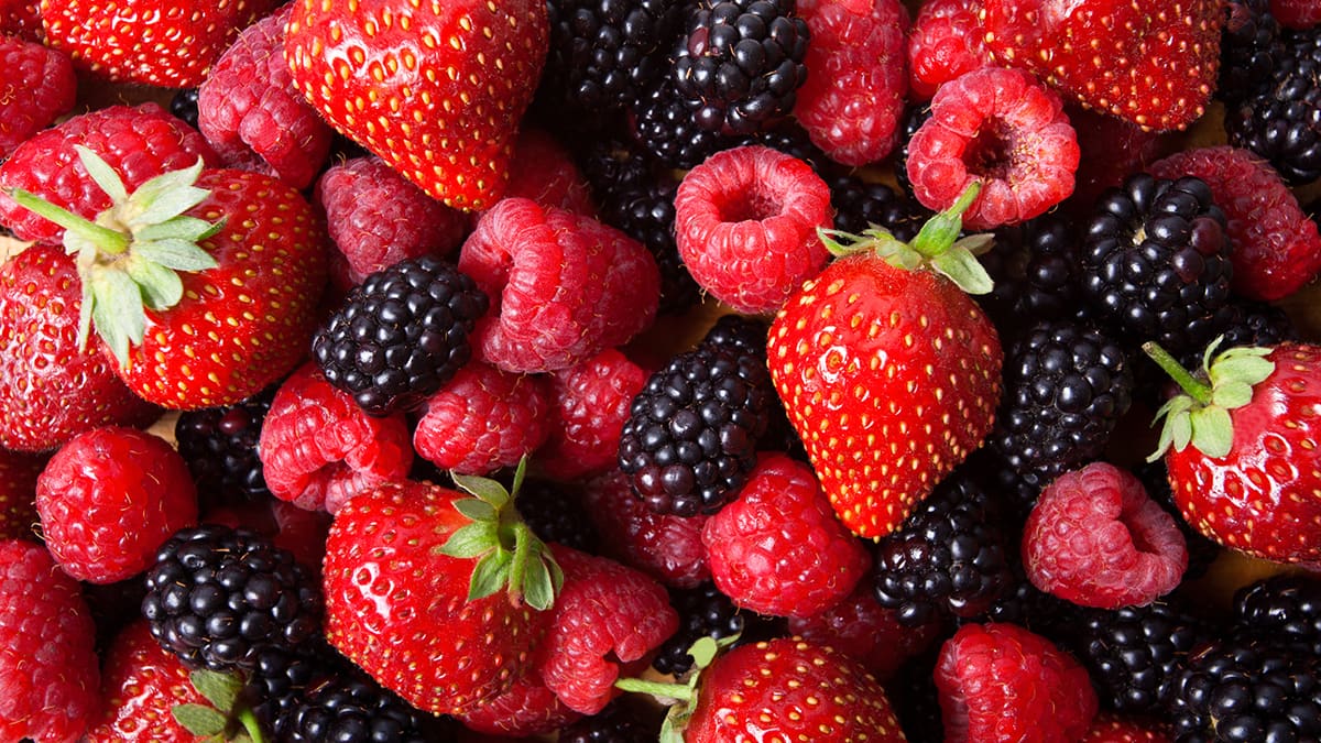 inForm-Ask-Dr-Adam--Are-There-Specific-Foods-or-Nutrients-That-Can-Reduce-Inflammation--copy-image 1