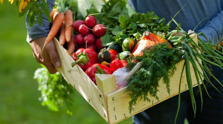 inForm-Ask-Dr-Adam--Are-There-Specific-Foods-or-Nutrients-That-Can-Reduce-Inflammation--header-image