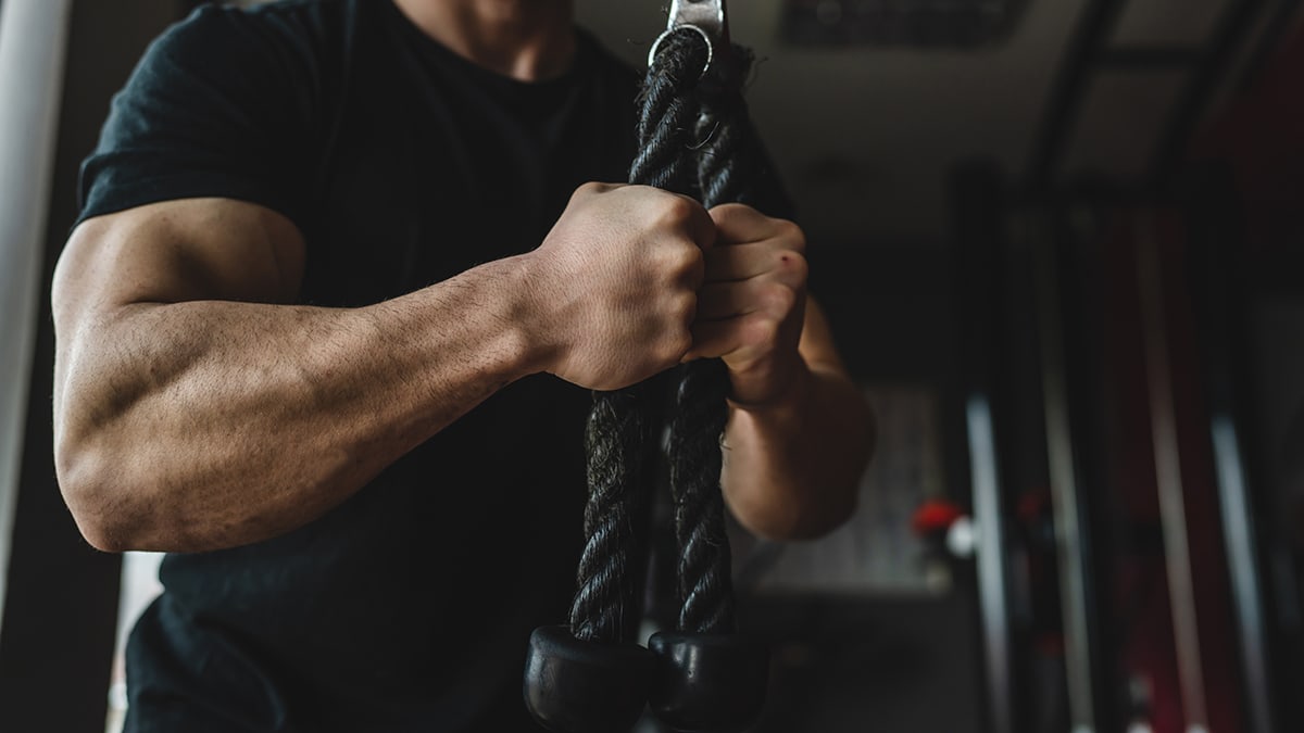 inForm-Ask-Dr-Adam--Why-Do-Some-People-Build-Muscle-More-Easily--copy-image